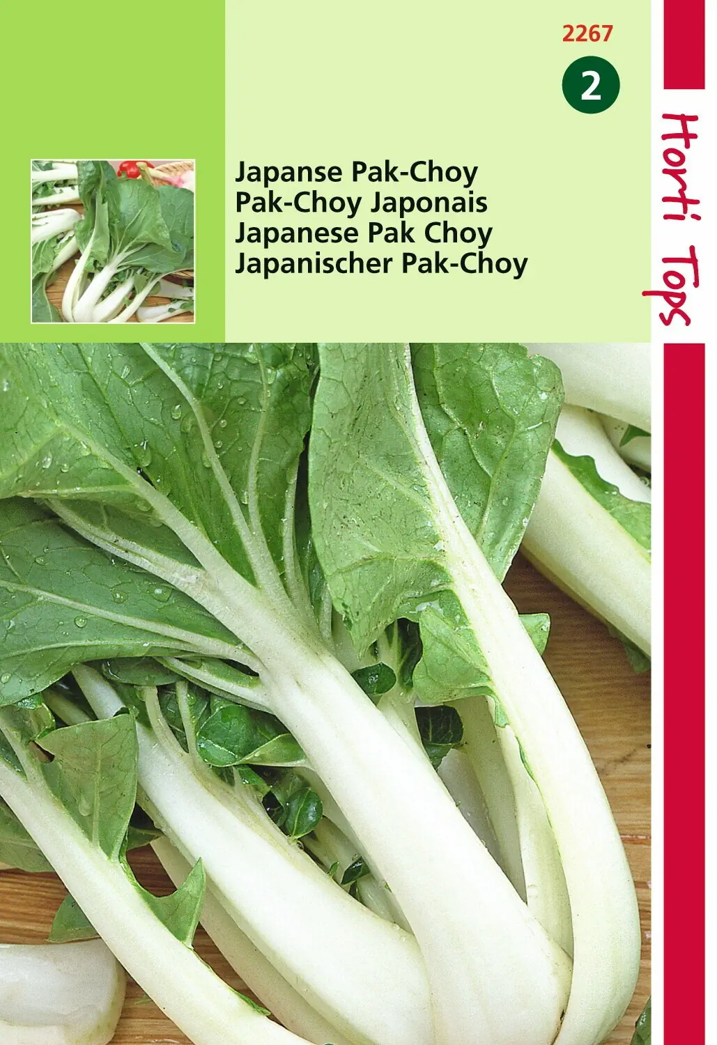 Zaden Taisai of Japanse Pak-Choy Hortitops