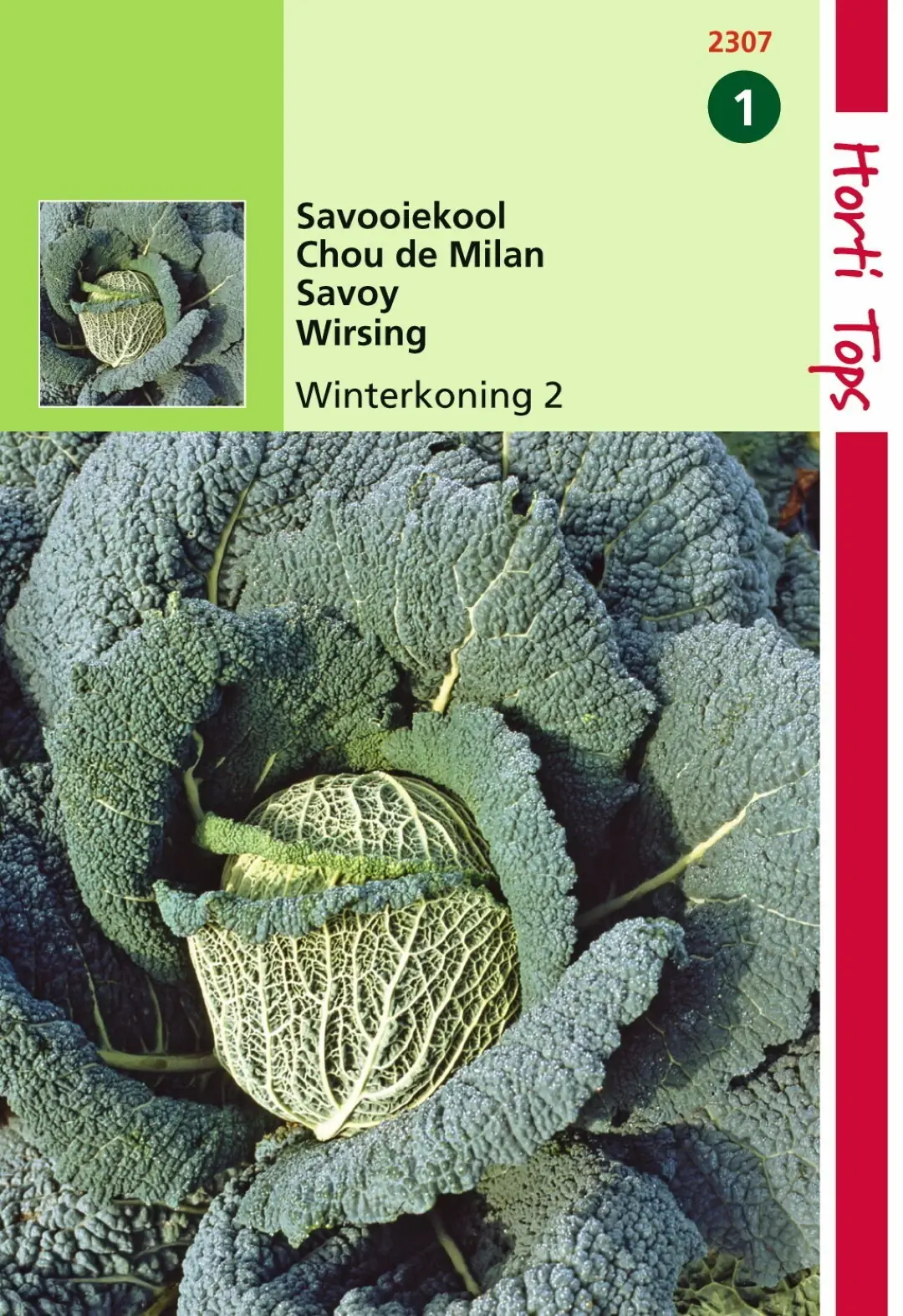 Zaden Savooiekool Winterkoning 2 Hortitops