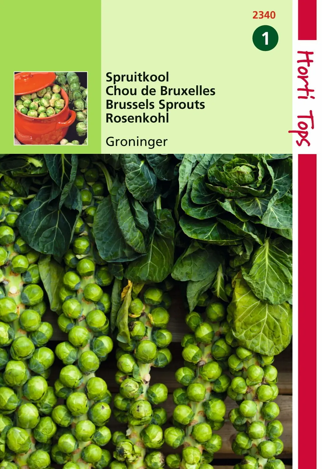 Zaden Spruitkool Groninger Hortitops