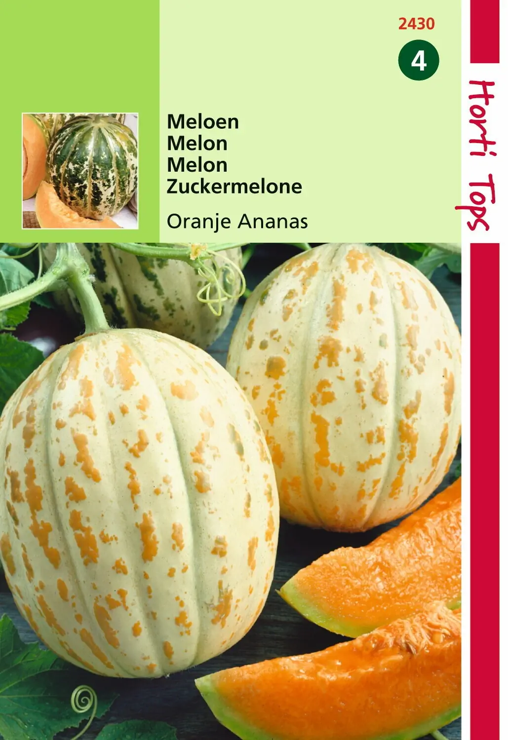 Zaden Meloenen Oranje Ananas Hortitops