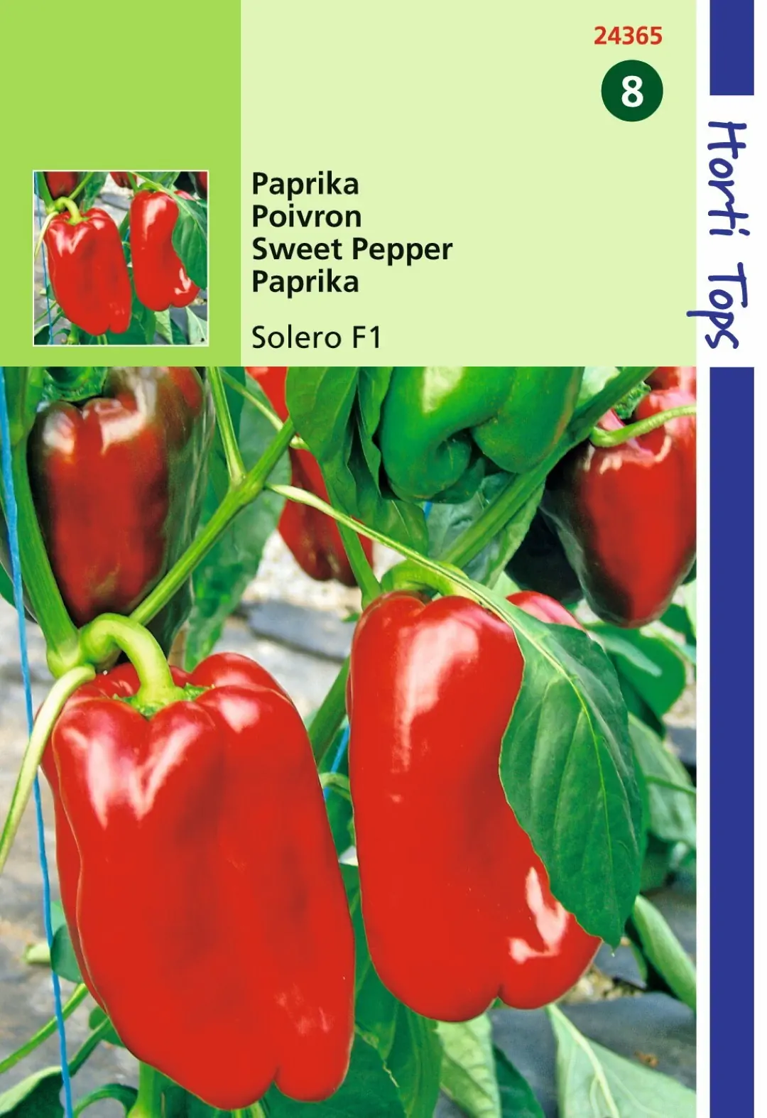 Zaden Paprika Reina F1 Hortitops