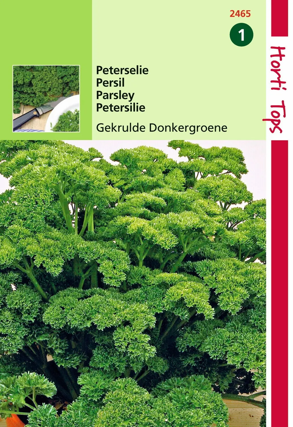 Zaden Peterselie Gekrulde Donkergroene Hortitops