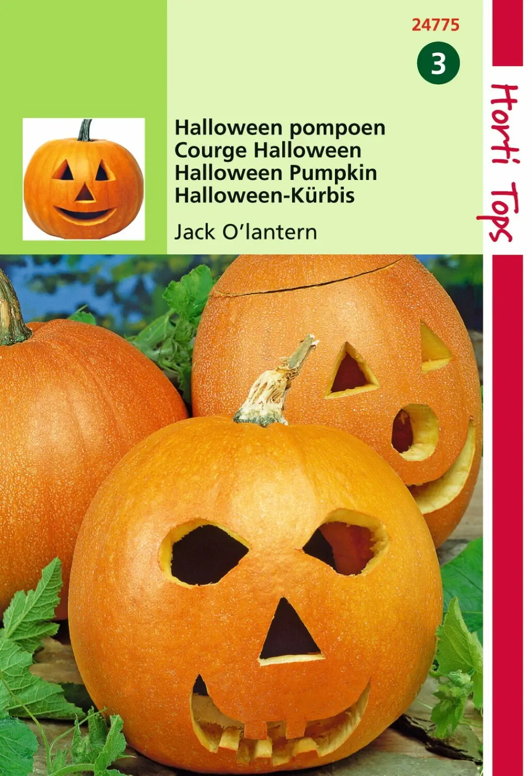 Zaden Pompoen Jack O'Lantern (Cucurbita Pepo) Hortitops