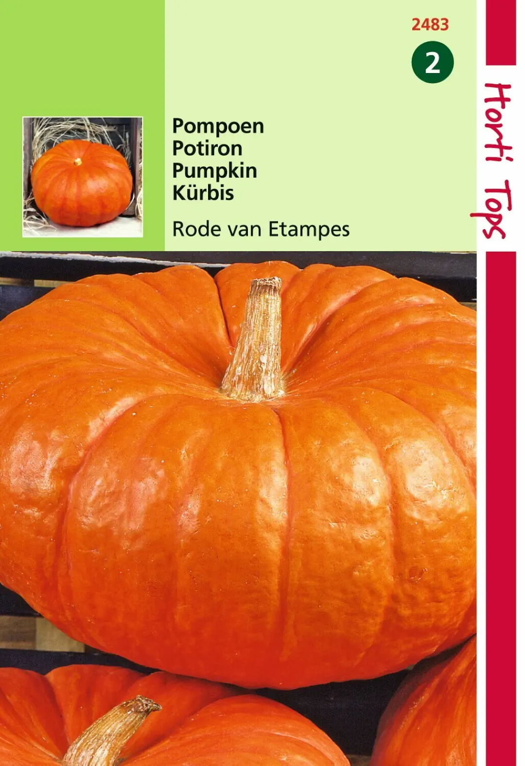 Zaden Pompoenen Rode van Etampes Hortitops