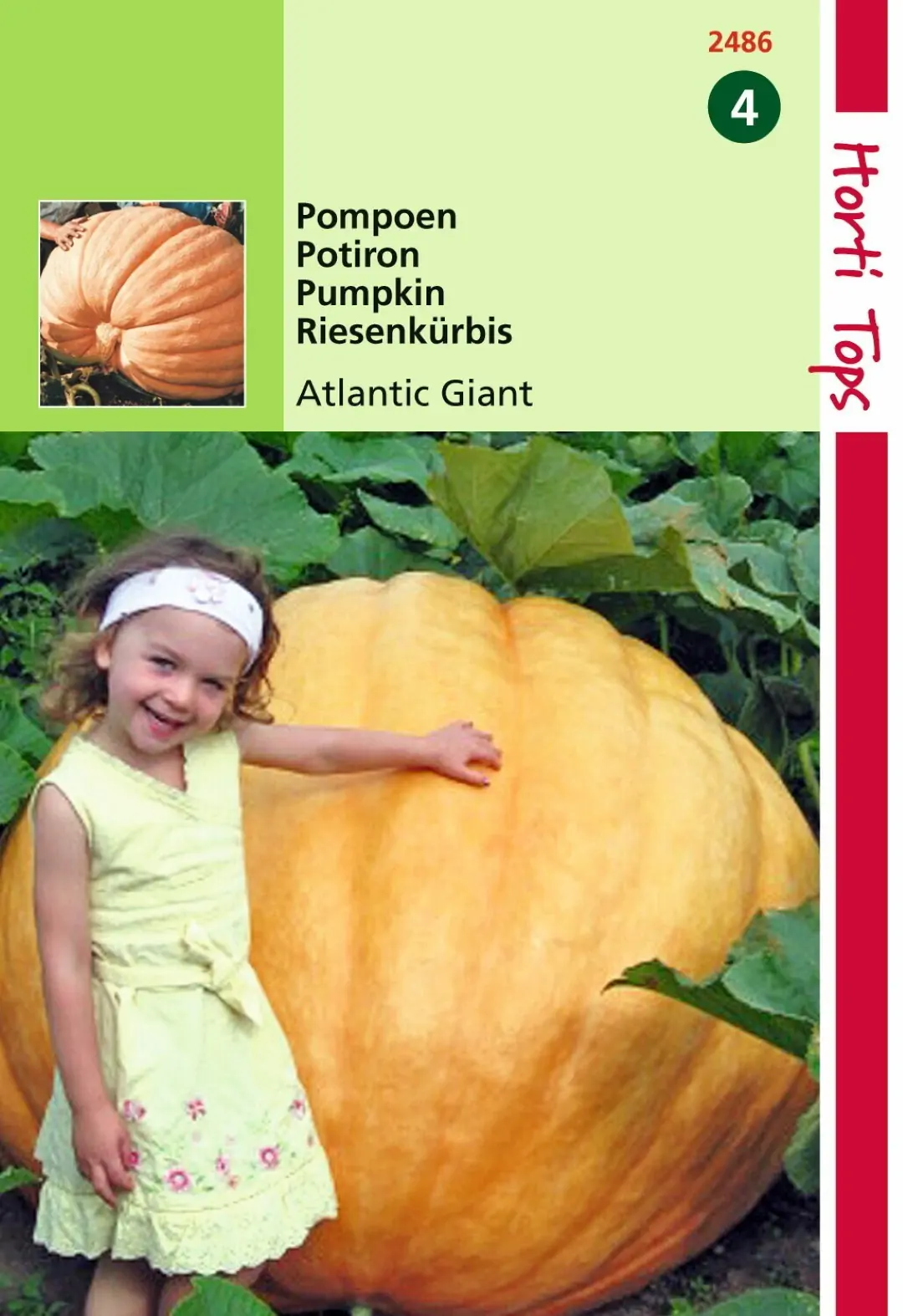 Zaden Pompoenen Atlantic Giant Hortitops
