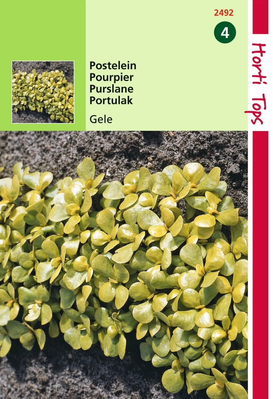 Zaden Postelein Breedbladige Gele Hortitops