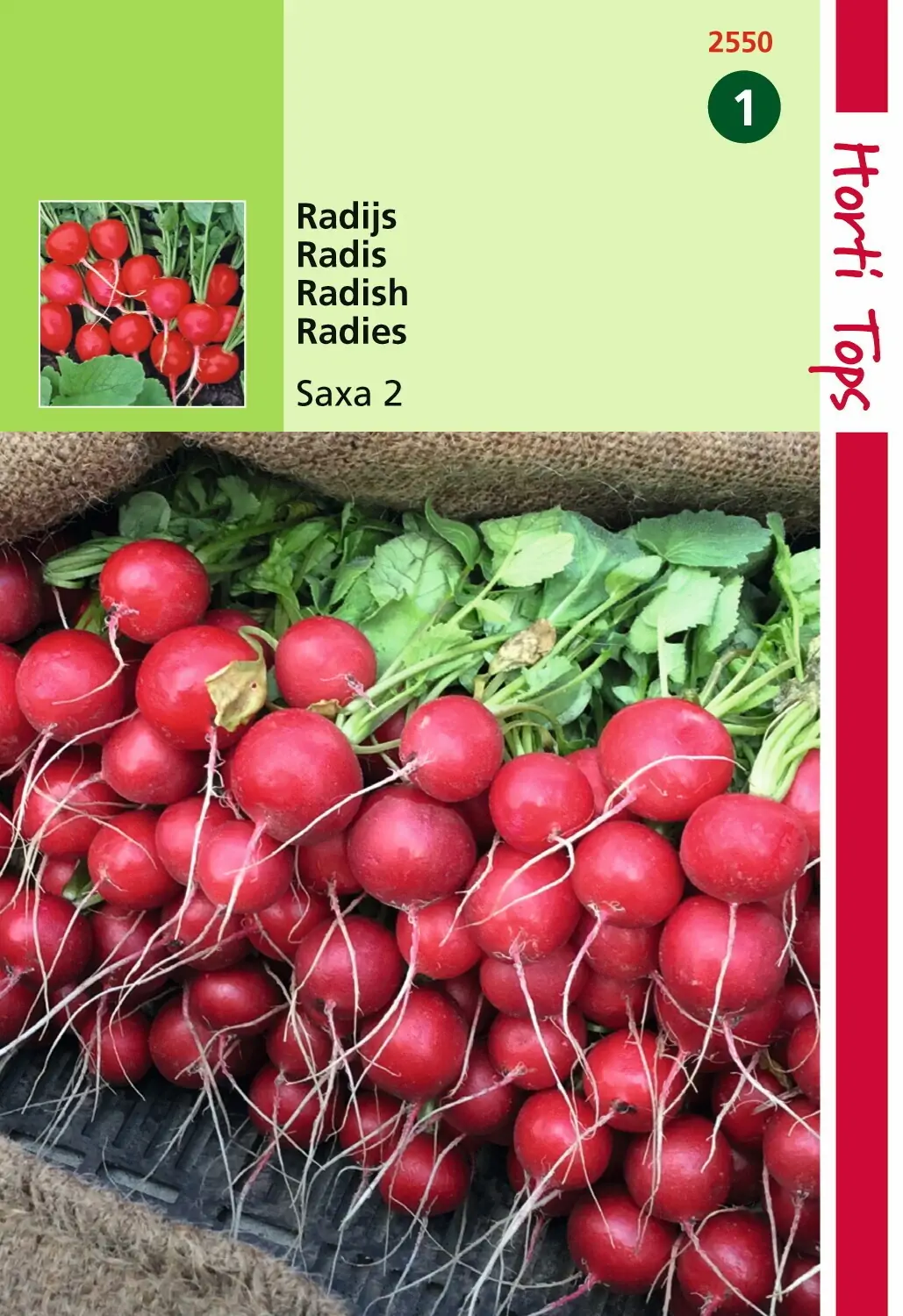 Zaden Radijs Saxa - 2 Hortitops