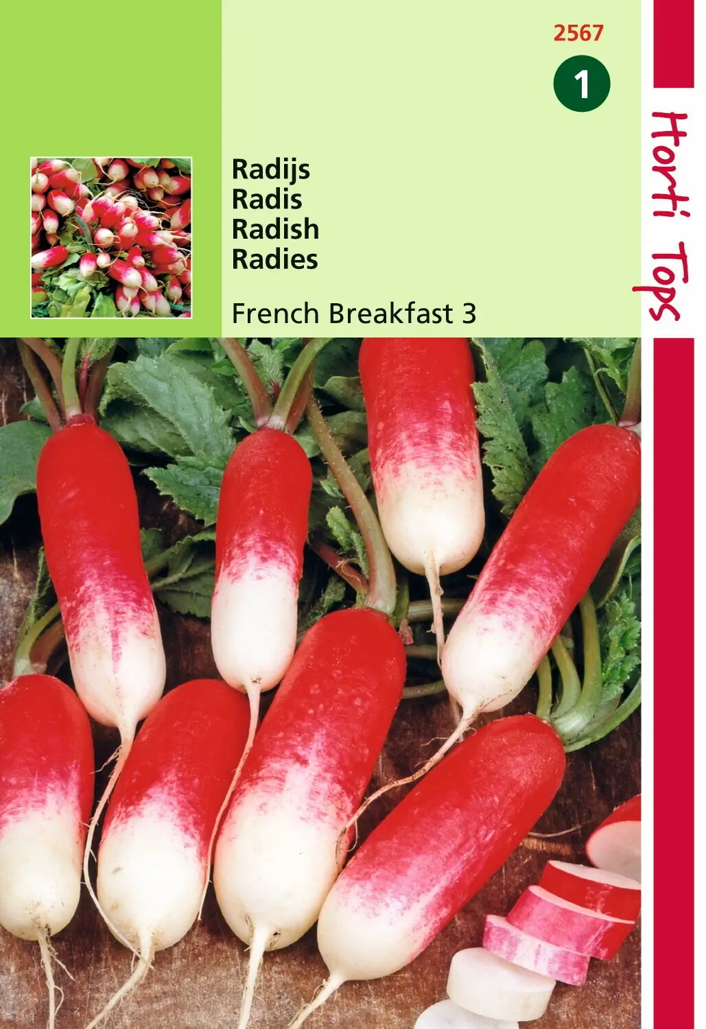 Zaden Radijs French Breakfast 3 Hortitops