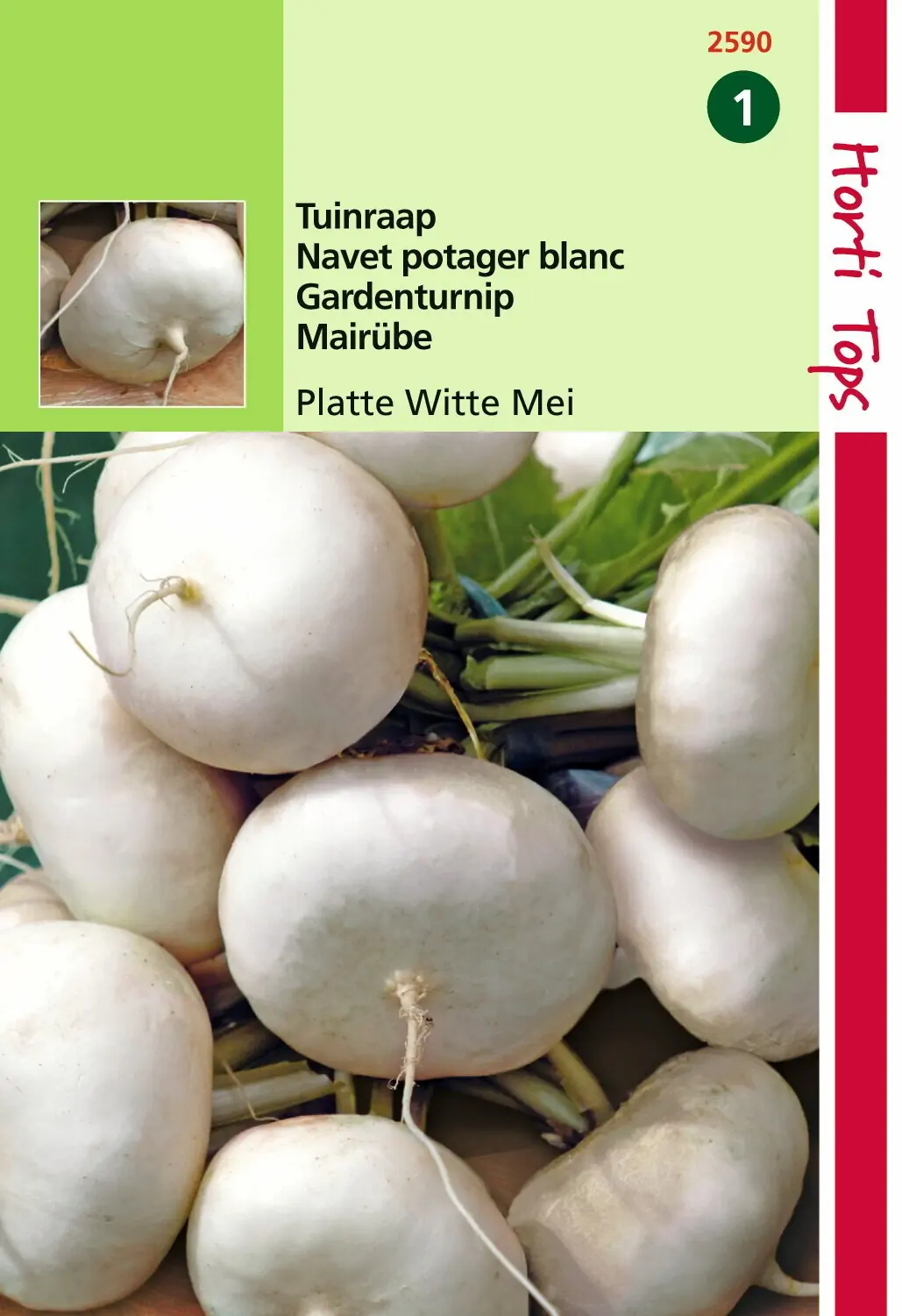 Zaden Rapen Platte Witte Mei Hortitops