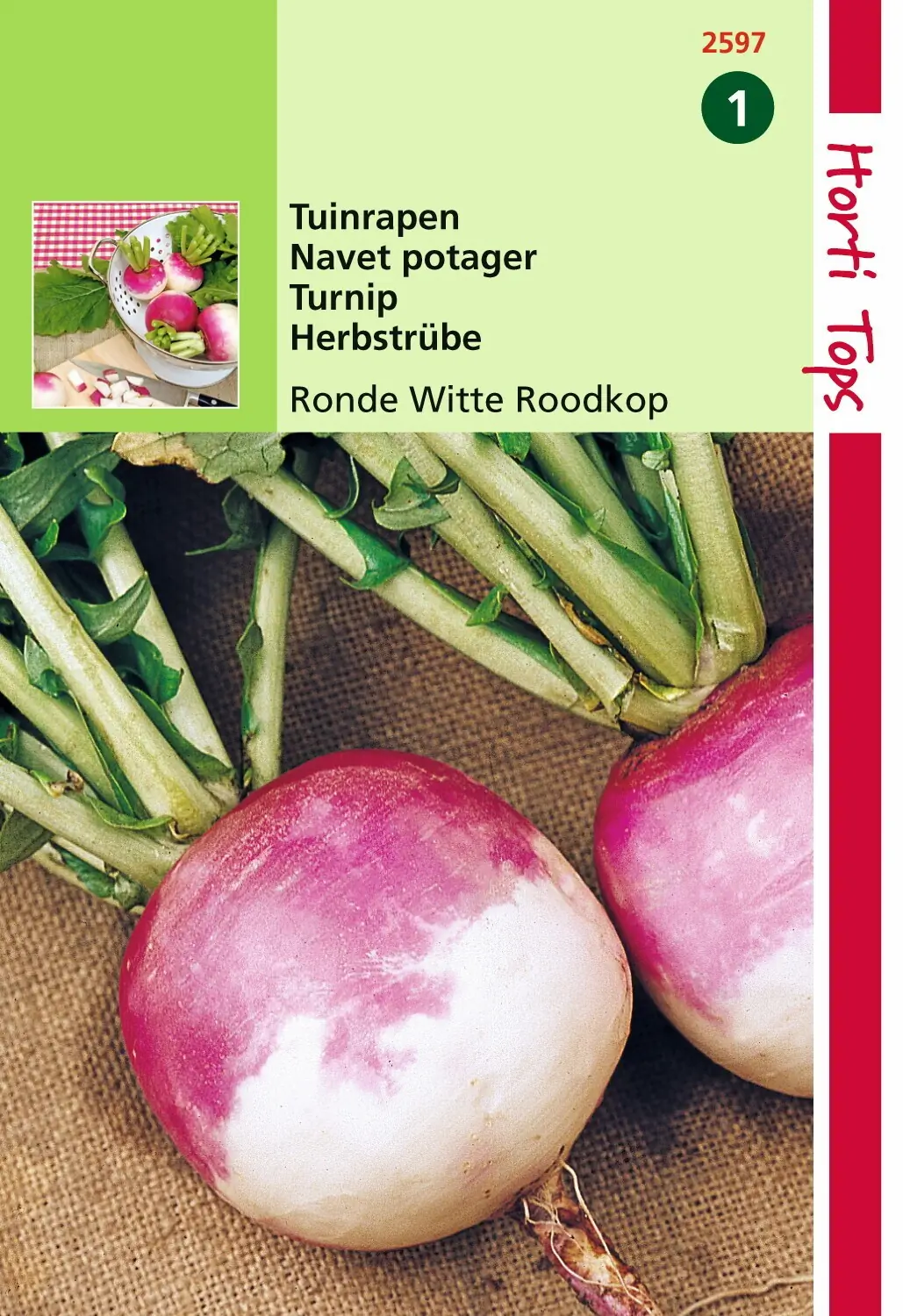 Zaden Rapen Ronde Witte Roodkop (Nancy) Hortitops