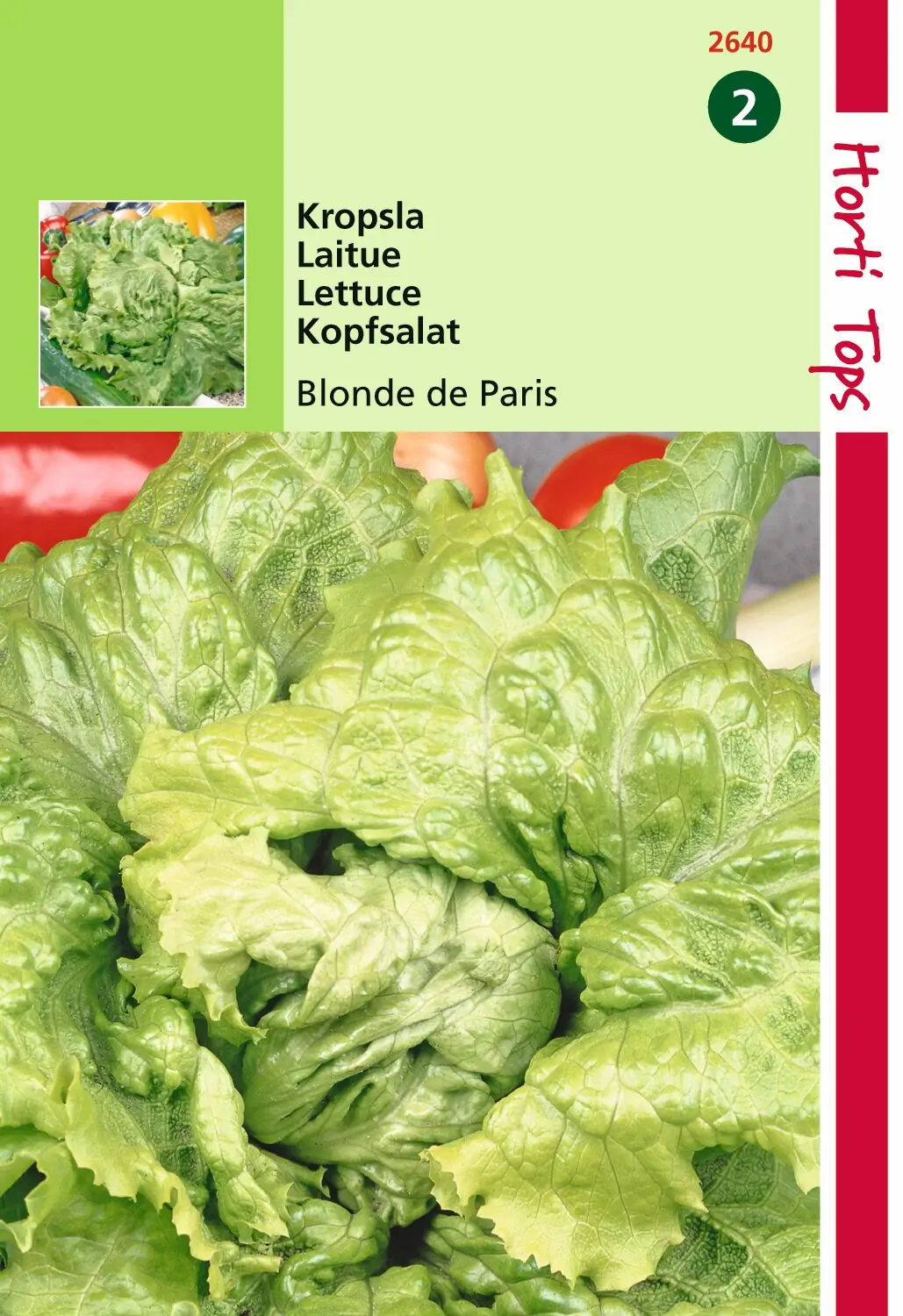 Zaden Kropsla Batavia Blonde (Sla-Andijvie) Hortitops