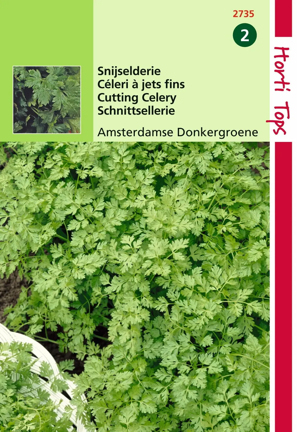 Zaden Snijselderie Amsterdamse Donkergroene Hortitops