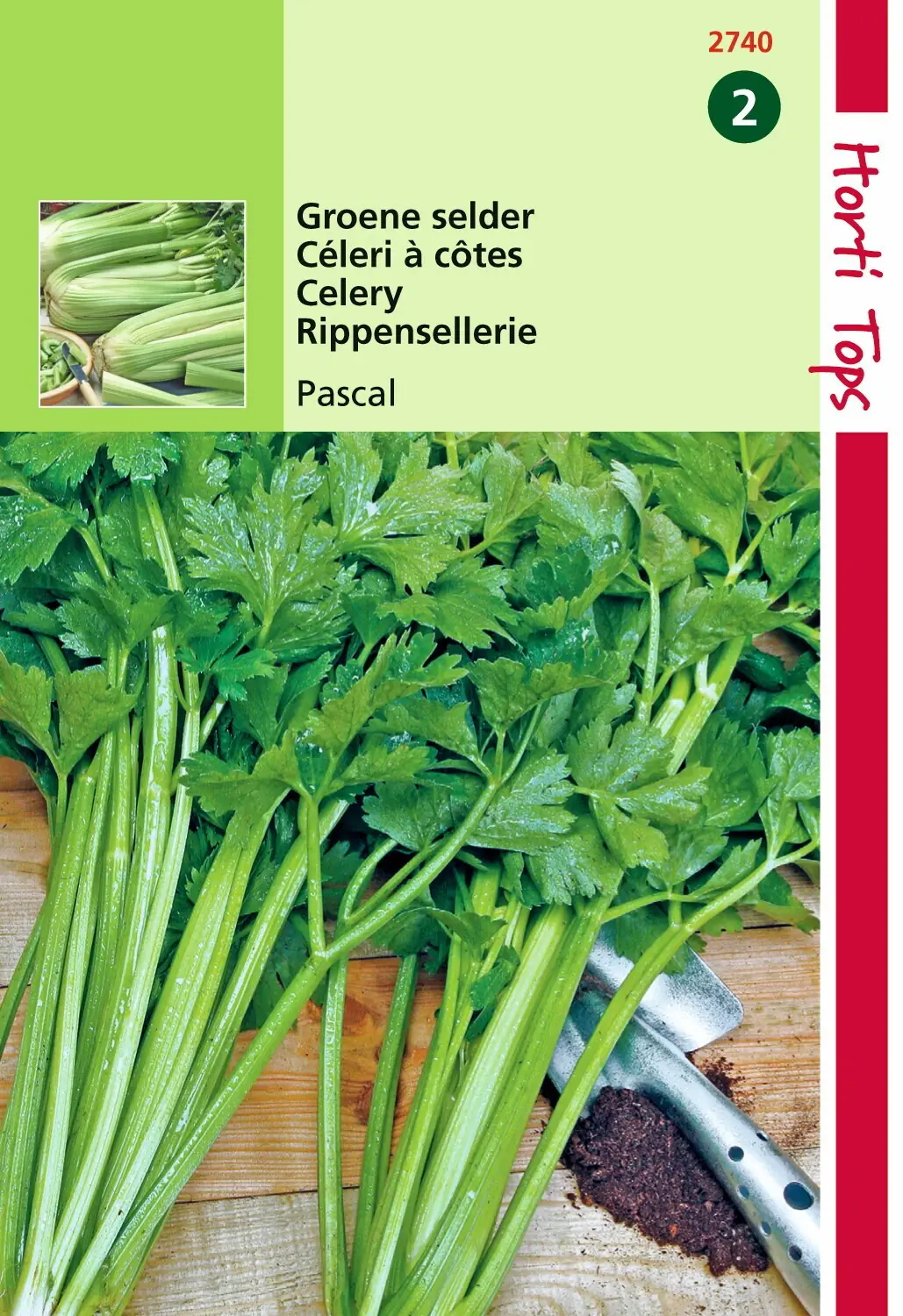 Zaden Selder Pascal Groene Volpijp Hortitops