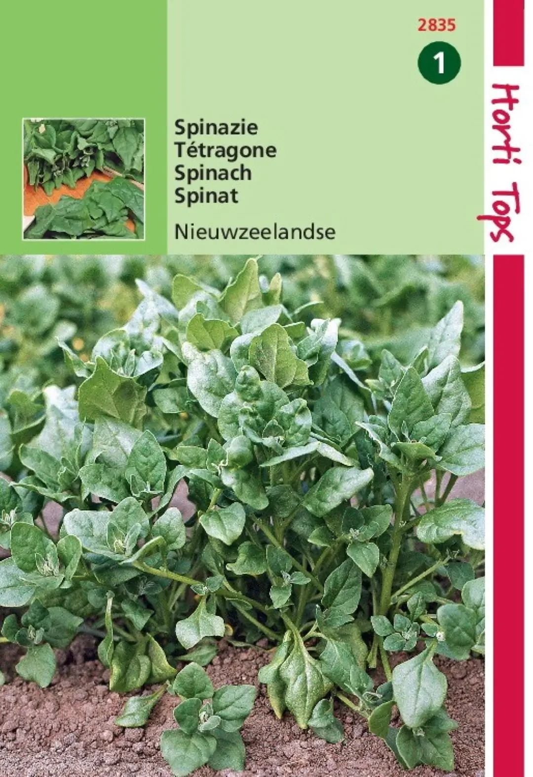 Zaden Spinazie Nieuwzeelandse Hortitops