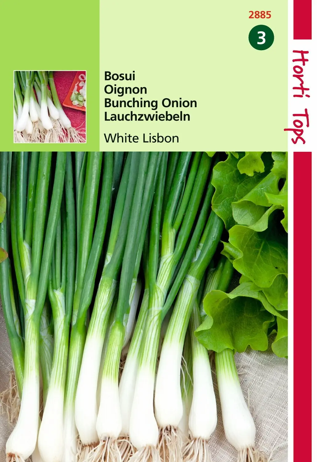 Zaden Bosui White Lisbon Hortitops