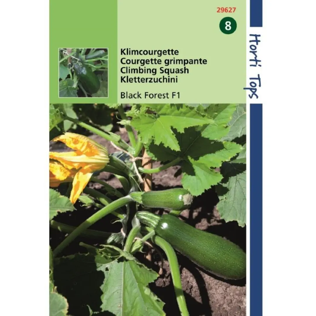 Zaden Courgette Black Forest F1 (klimmend) Hortitops