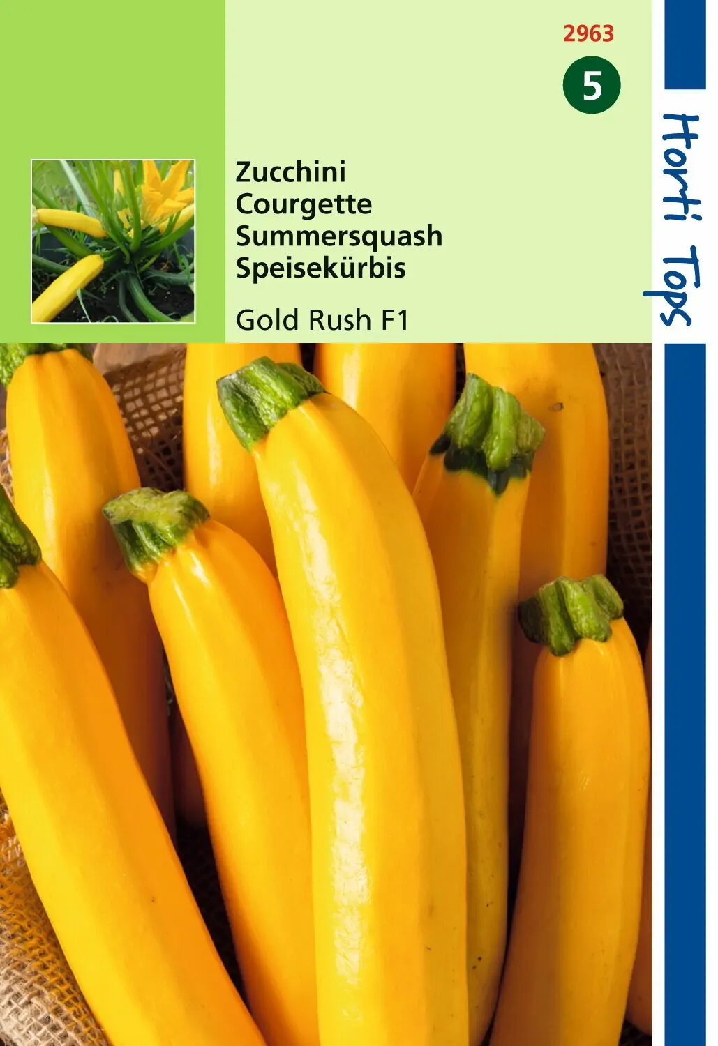 Zaden Courgette Gold Rush F1 Hortitops