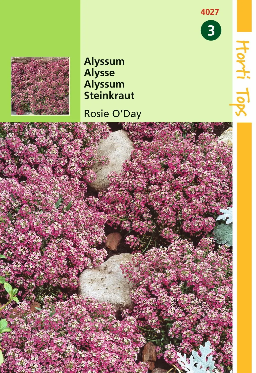 Zaden Alyssum Rosie O'Day Hortitops