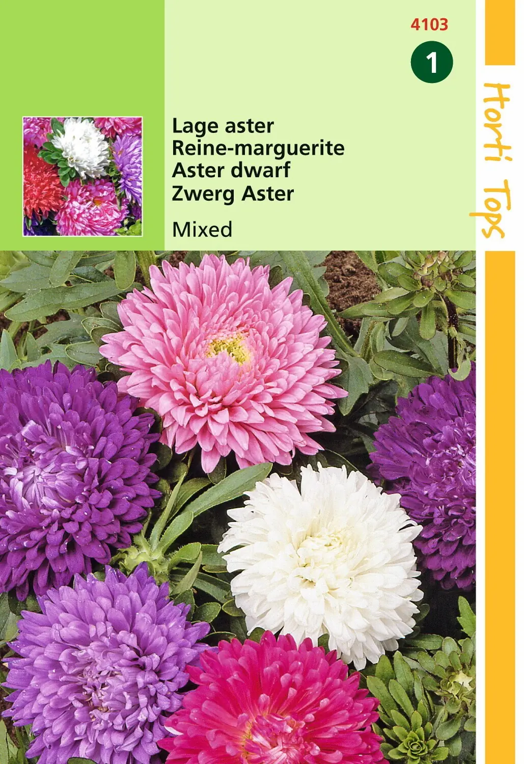 Zaden Callistephus Dwerg-Aster gemengd Hortitops