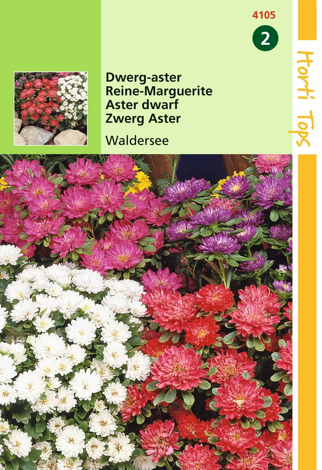 Zaden Callistephus Dwerg-aster Waldersee gemengd Hortitops