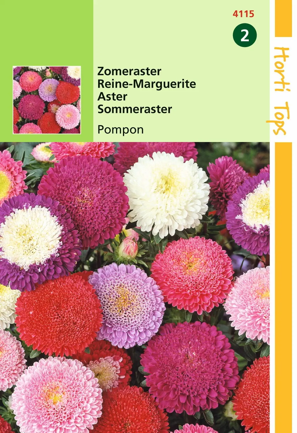 Zaden Callistephus Zomeraster Pompon gemengd Hortitops