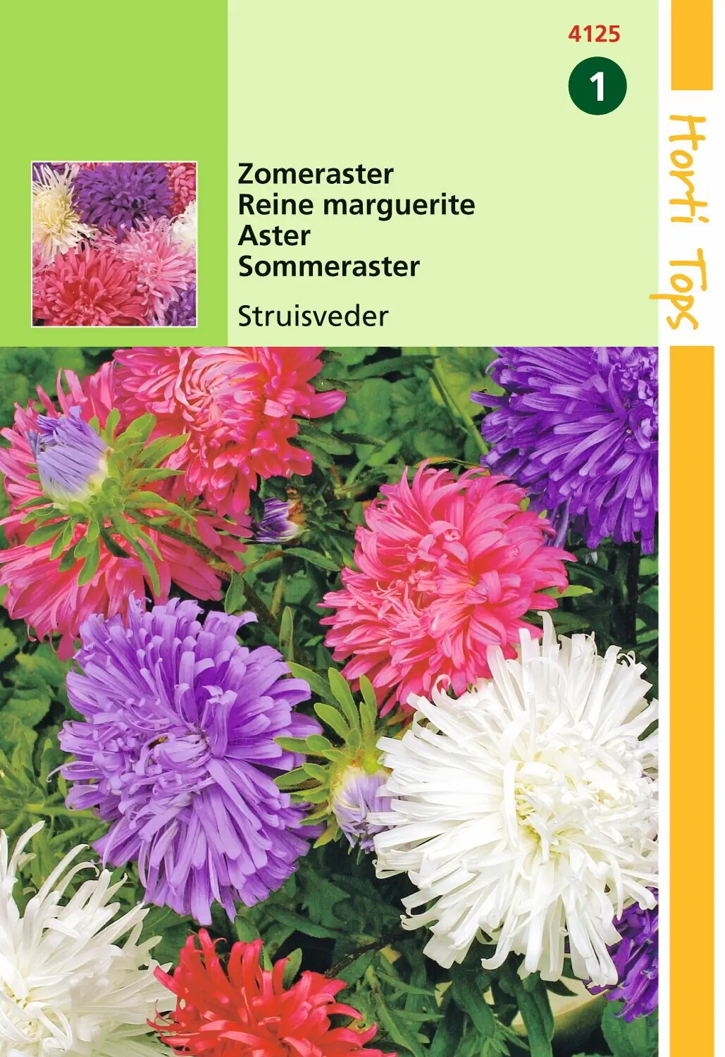 Zaden Callistephus Zomeraster Struisveder gemengd Hortitops