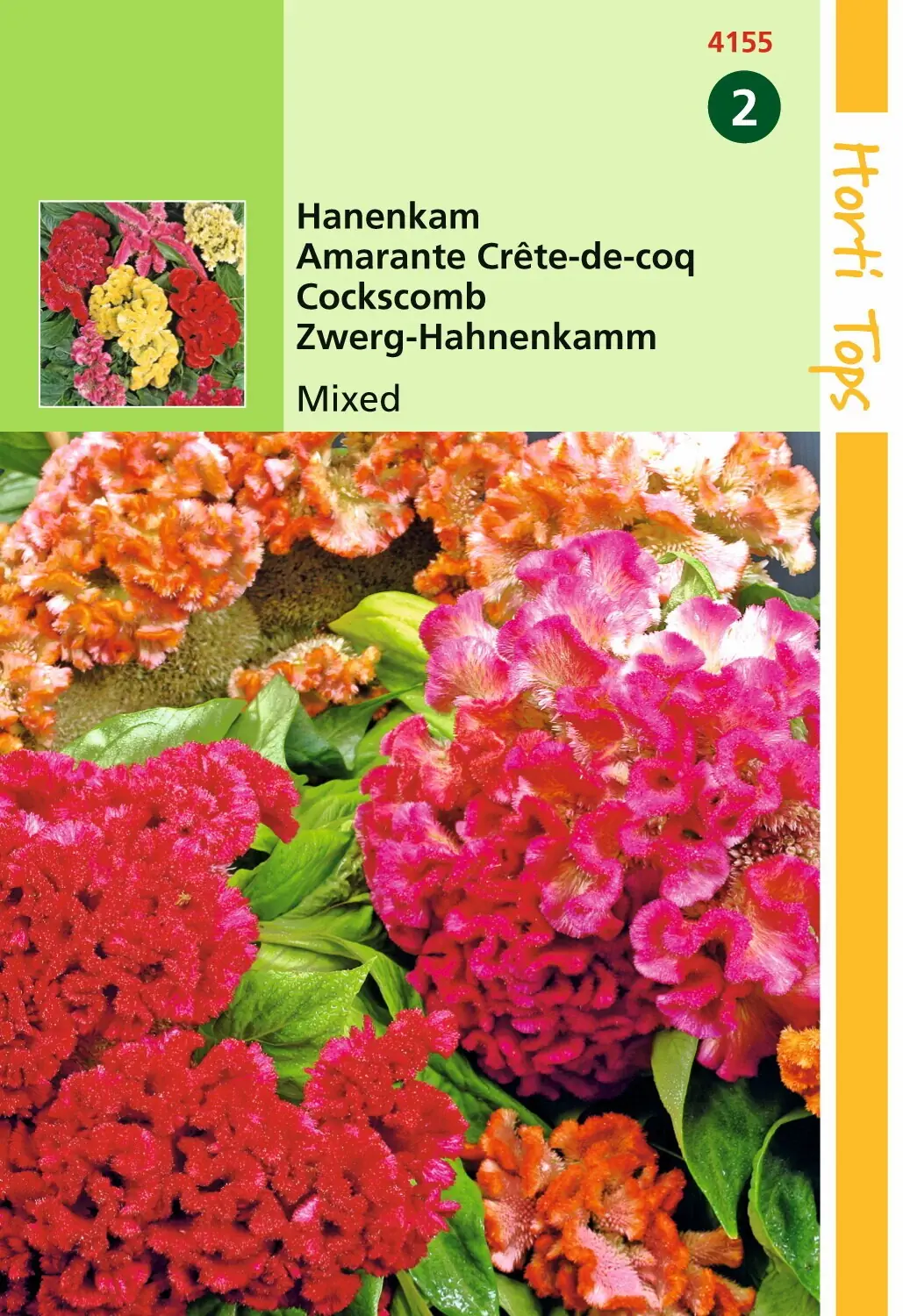 Zaden Celosia Hanenkam gemengd Hortitops