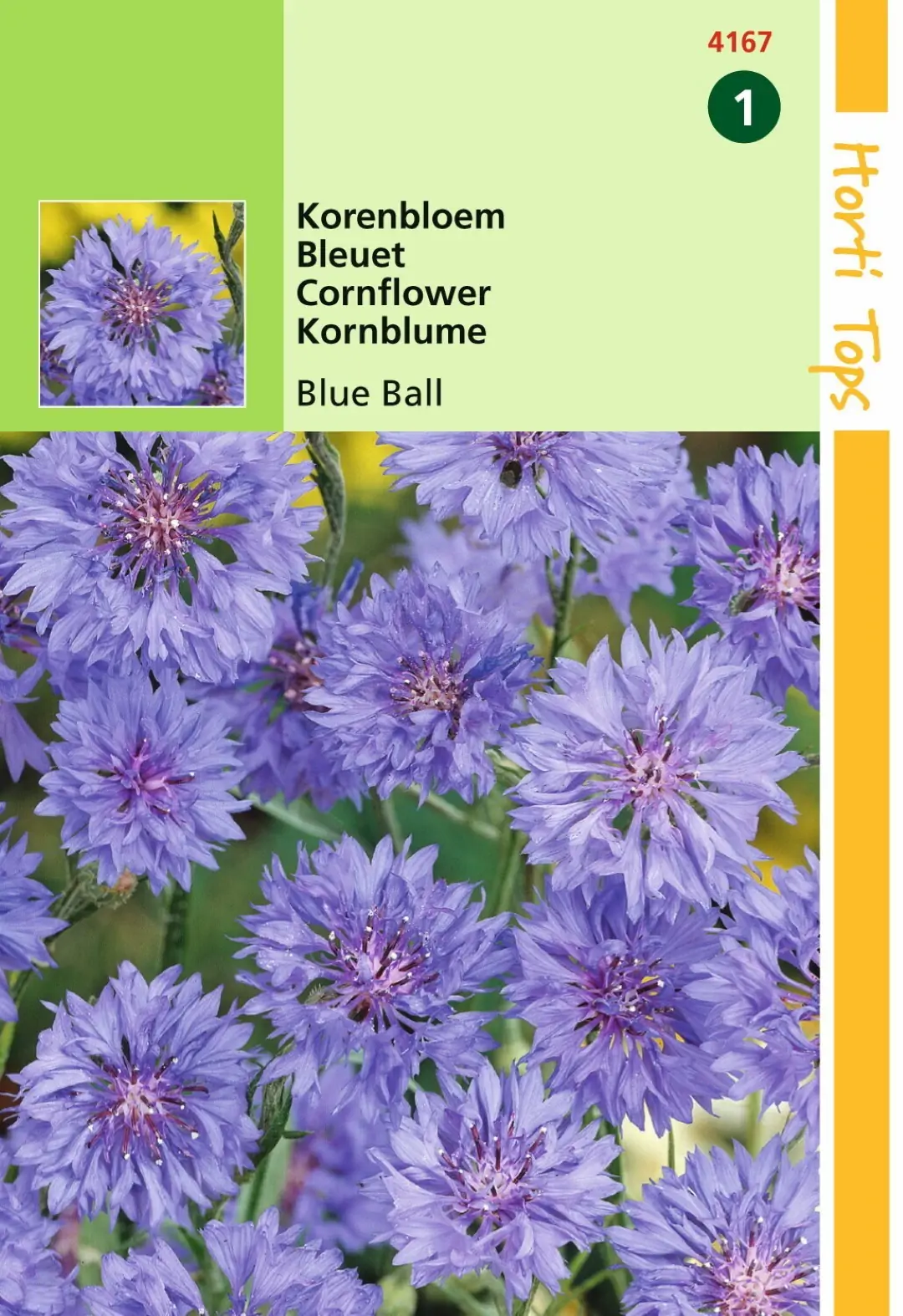 Zaden Centaurea Korenbloem Blue Ball Hortitops