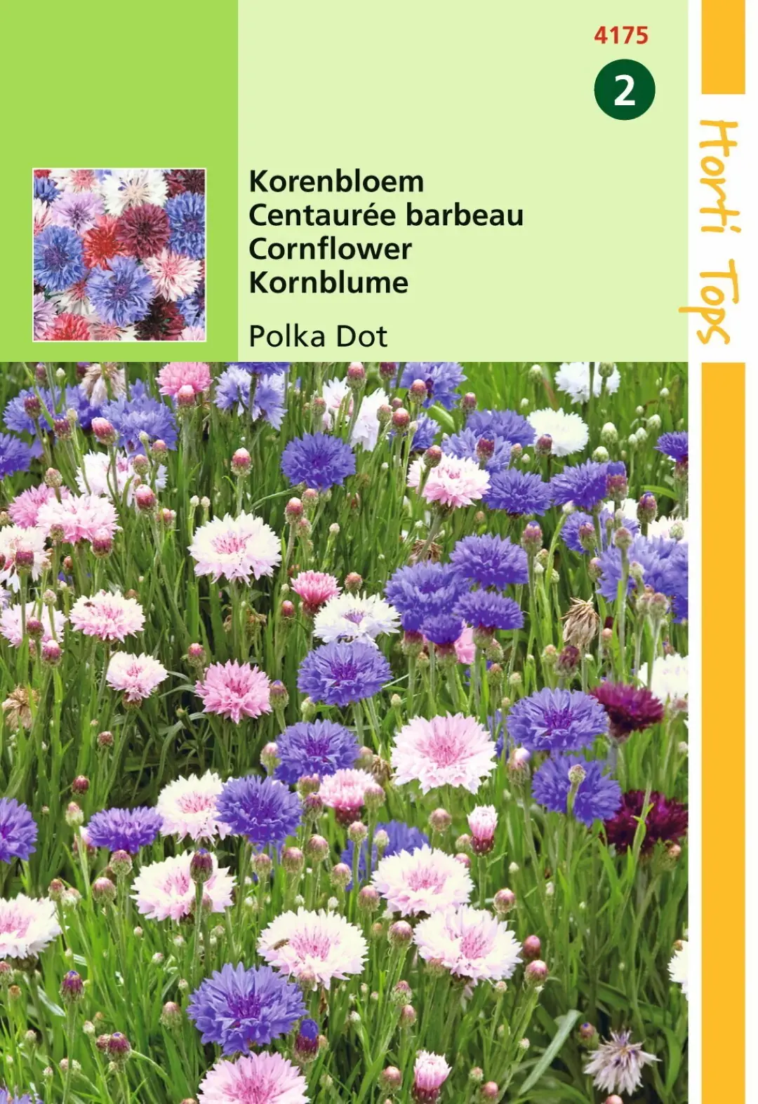 Zaden Centaurea Korenbloem Polka Dot gemengd Hortitops