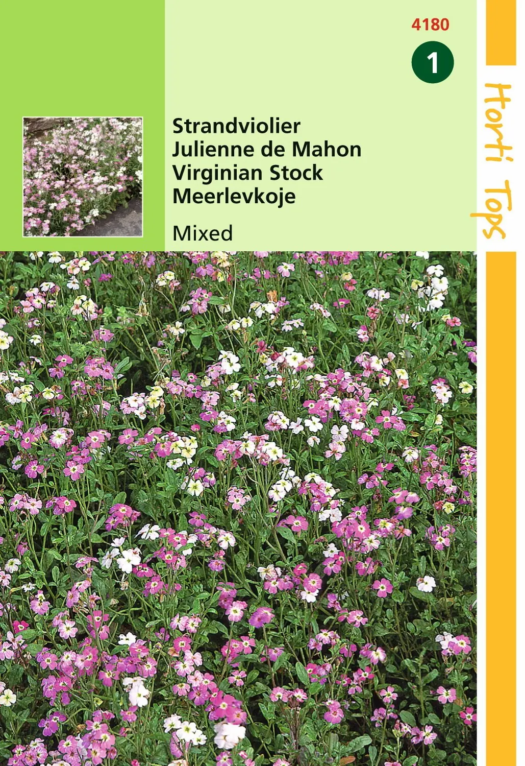 Zaden Cheiranthus Strandviolier gemengd Hortitops