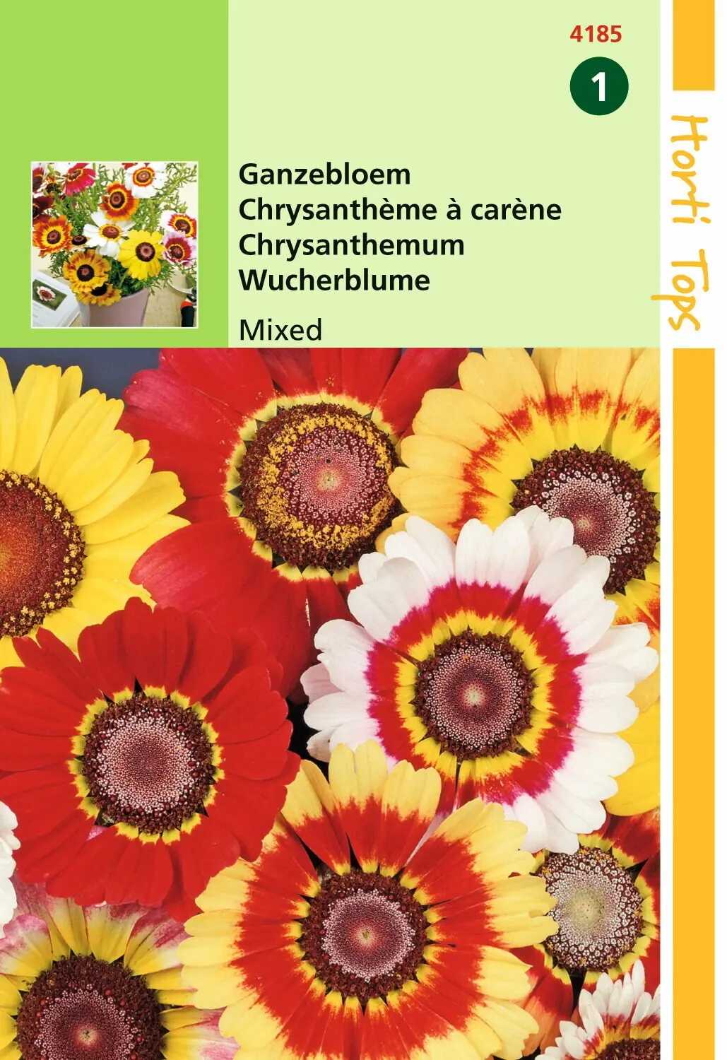 Zaden Chrysanthemum Ganzebloem gemengd Hortitops