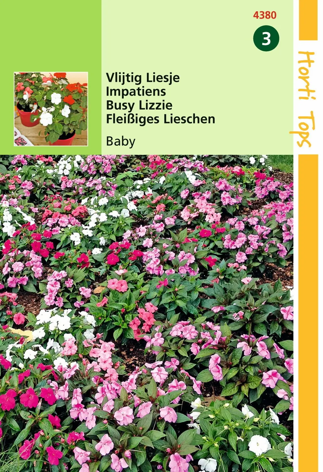 Zaden Impatiens Vlijtig Liesjes Baby gemengd Hortitops