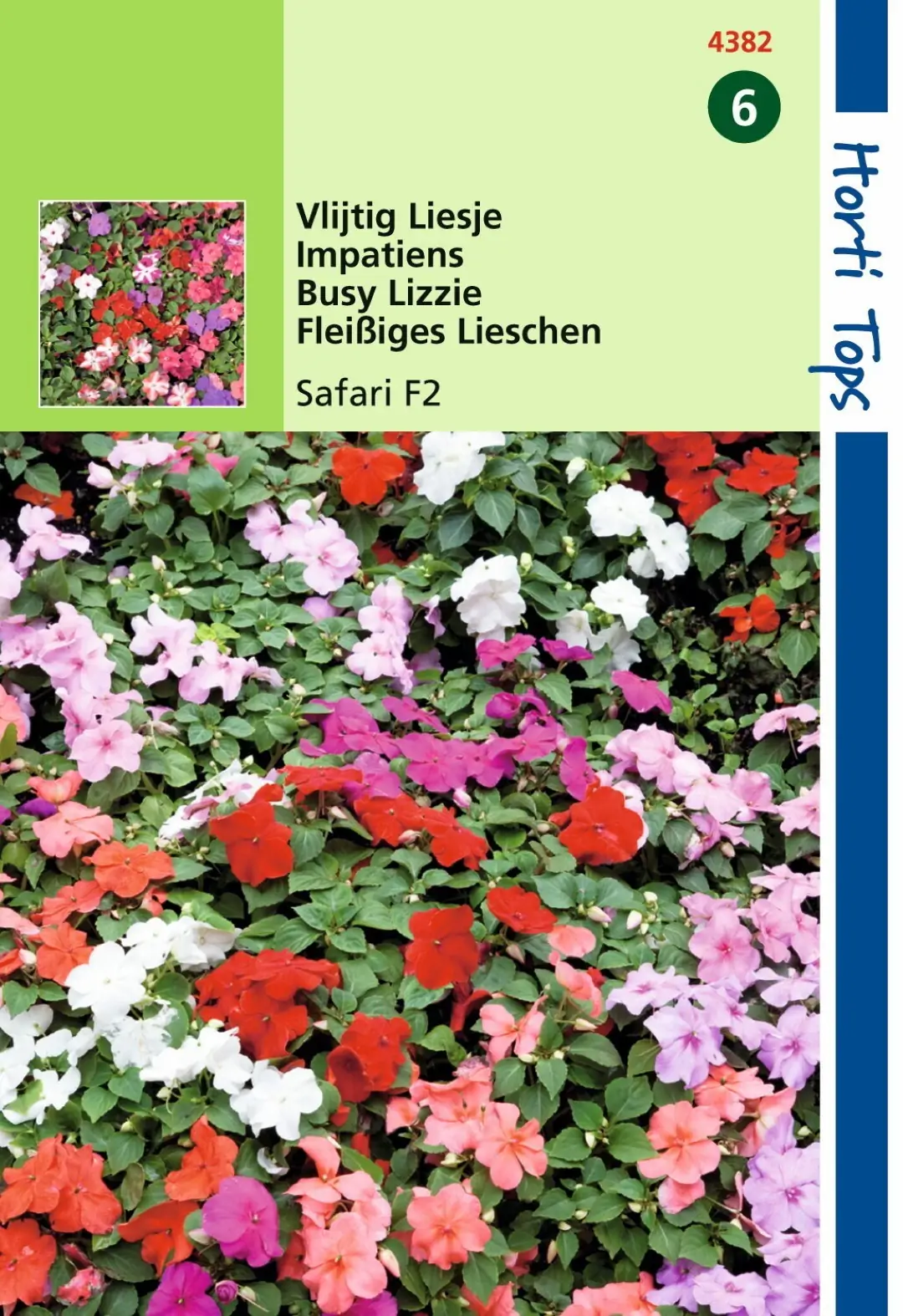 Zaden Impatiens Vlijtig Liesje Safari F2 gemengd Hortitops