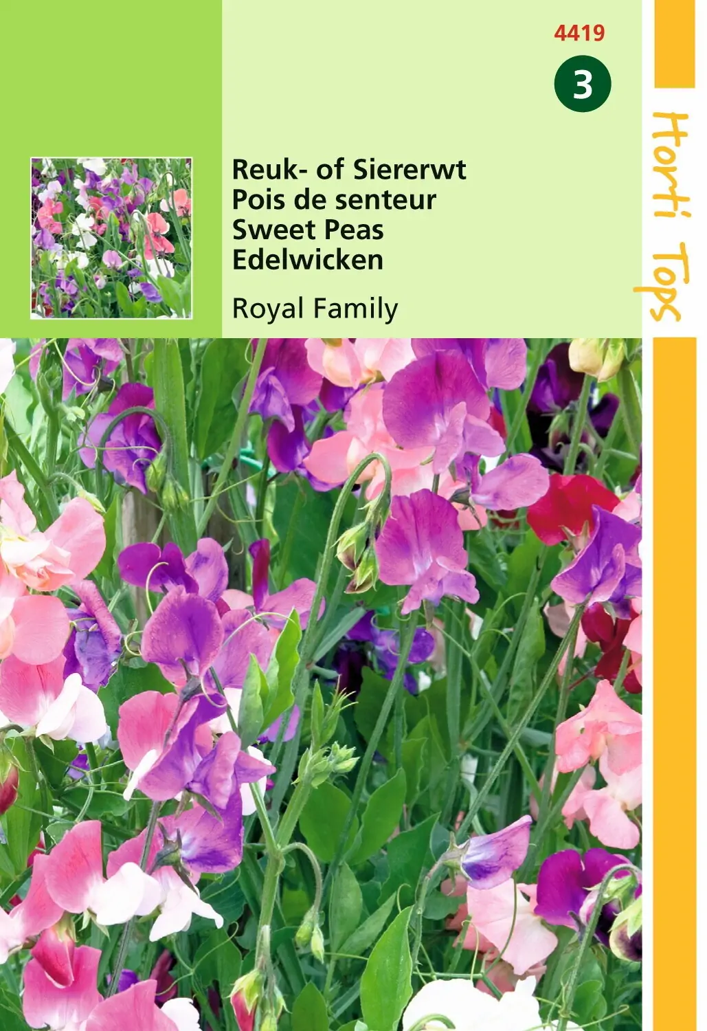 Zaden Lathyrus Reuk- of Siererwt Royal Family gemengd Hortitops