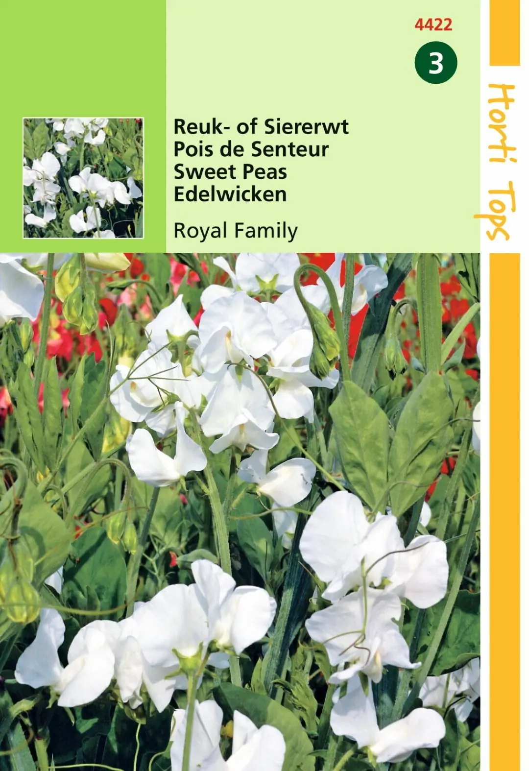 Zaden Lathyrus Reuk- of Siererwt Royal Family Wit Hortitops