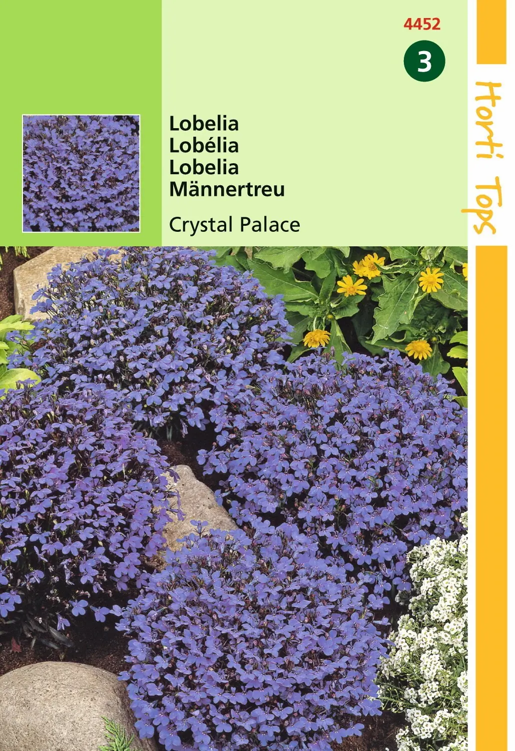 Zaden Lobelia Crystal Palace Hortitops