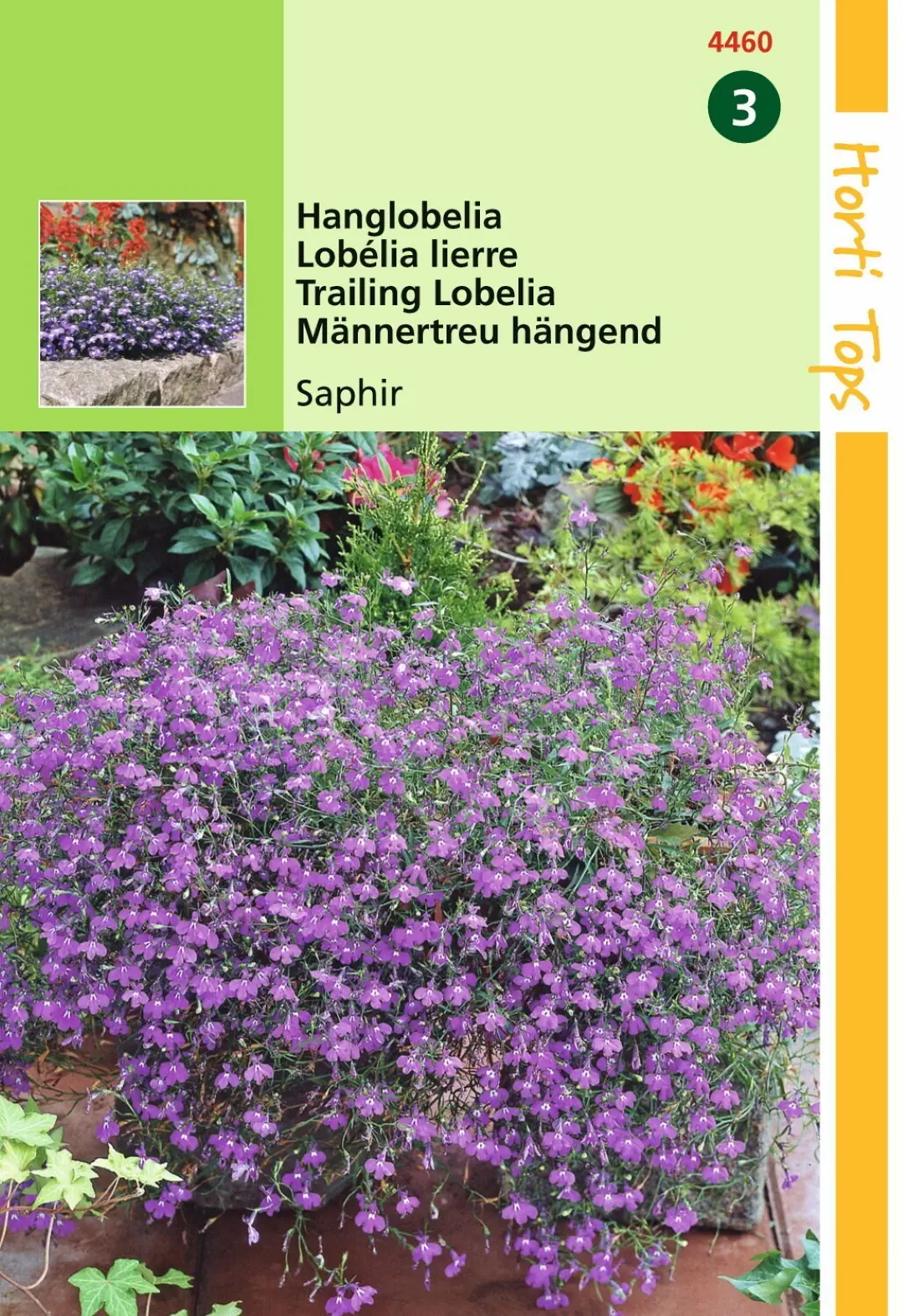 Zaden Lobelia Hanglobelia Saphir Hortitops