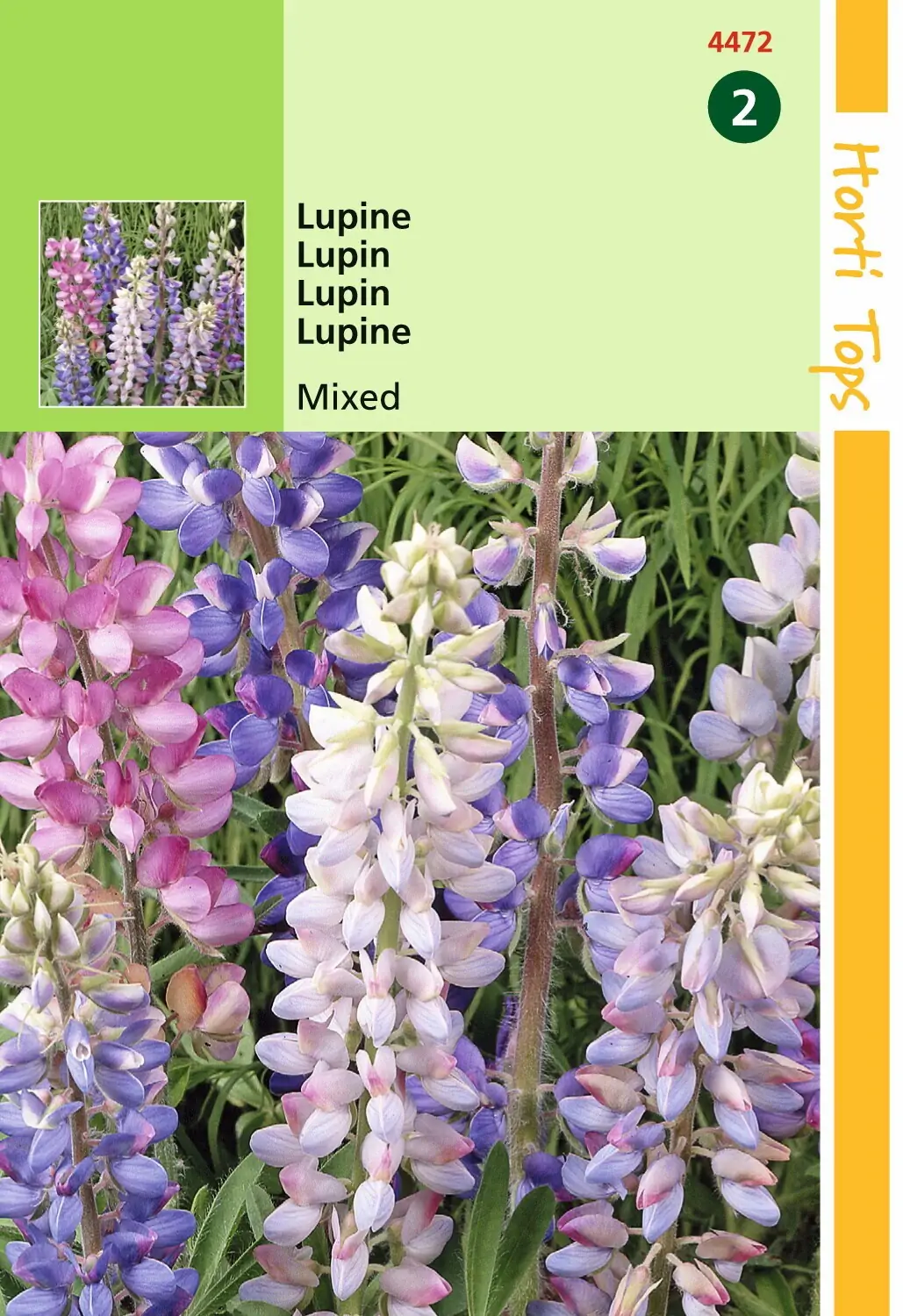 Zaden Lupine Lupine gemengd Hortitops