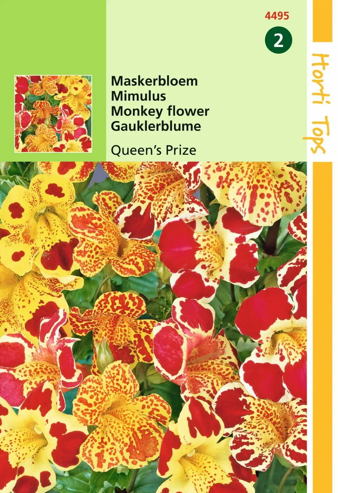 Zaden Mimulus Maskerbloem Queen's Prize Hortitops