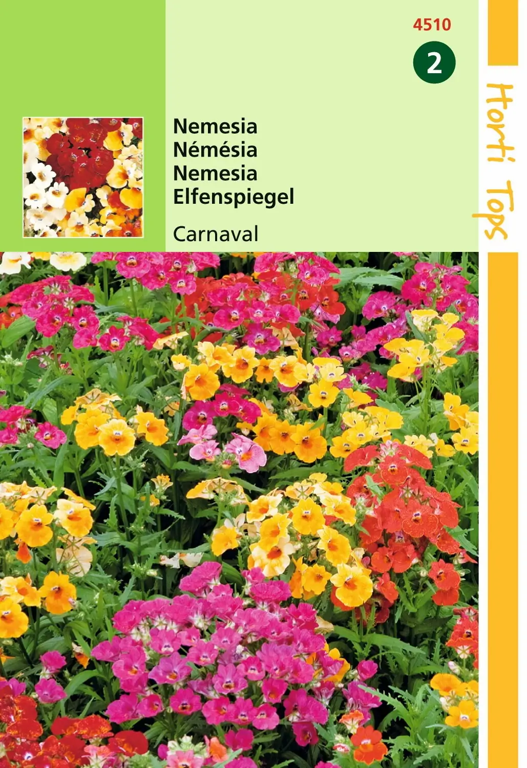 Zaden Nemesia Carnaval gemengd Hortitops