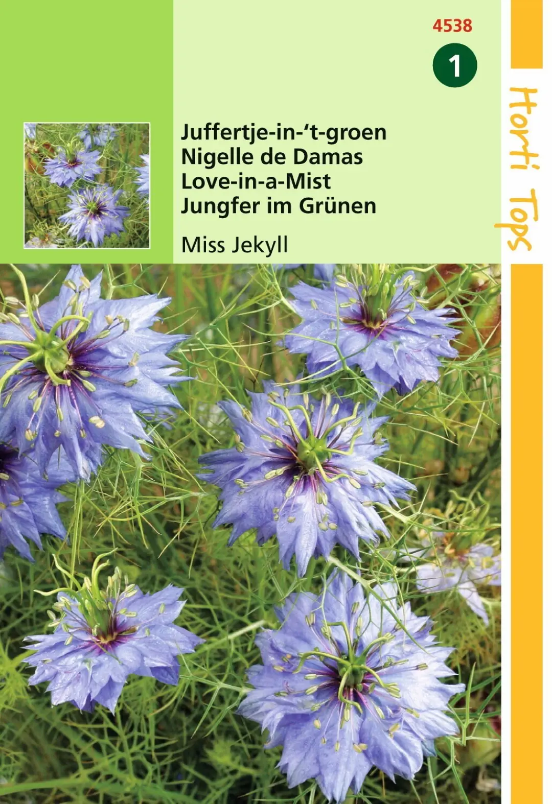 Zaden Nigella Juffertje-in-het-groen Miss Jekyll blauw Hortitops