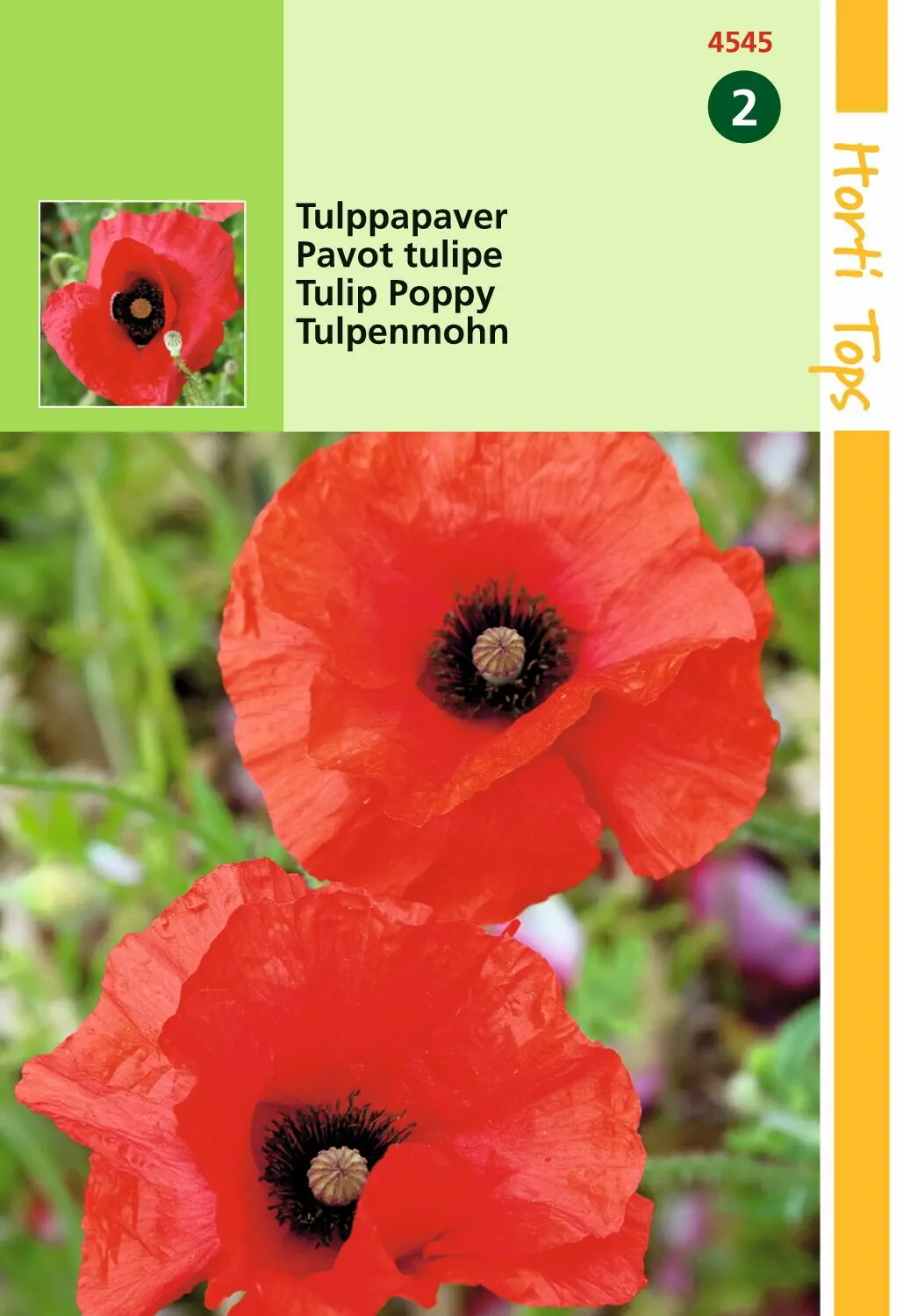 Zaden Papaver Tulppapaver Hortitops