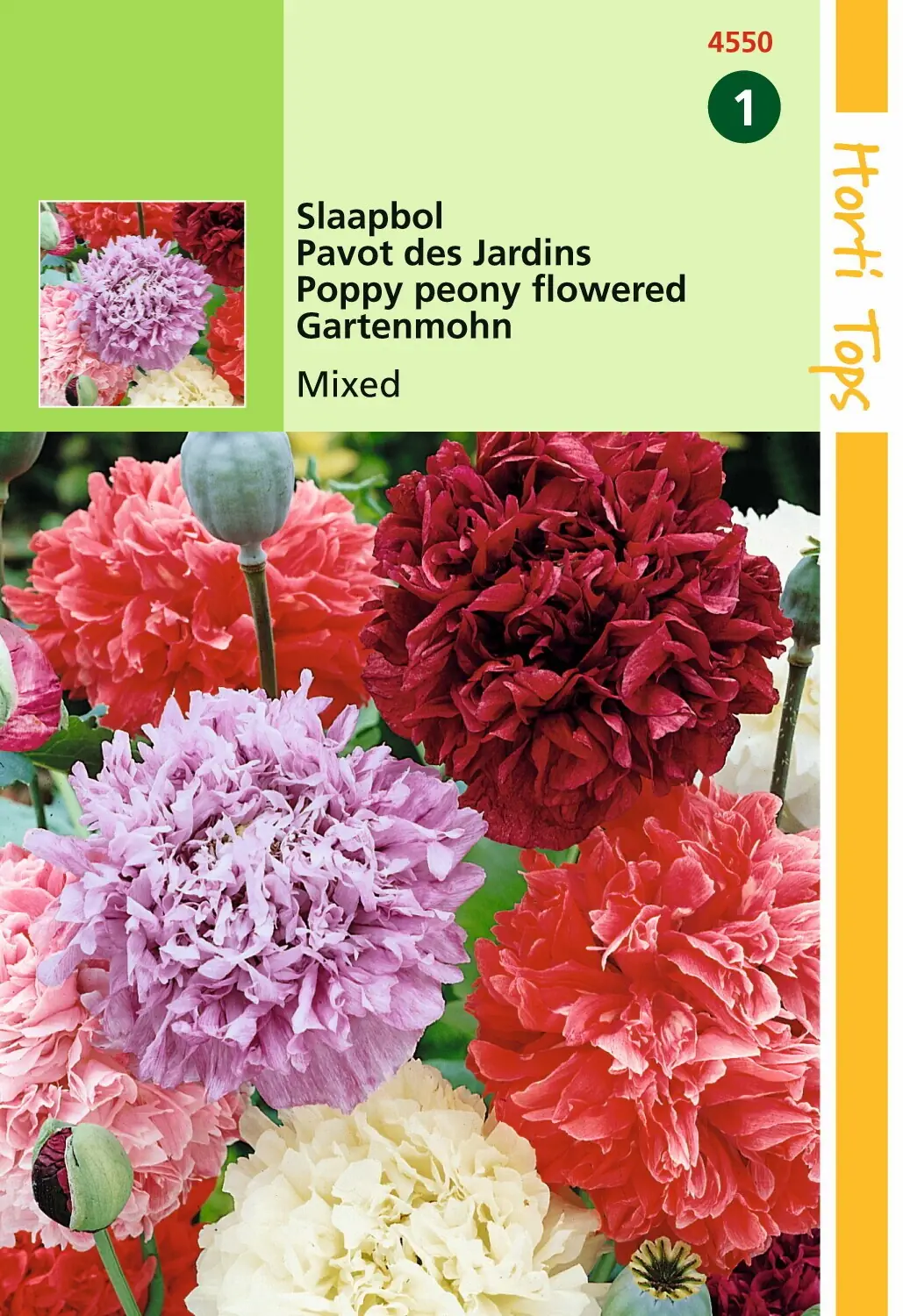 Zaden Papaver Slaapbol gemengd Hortitops