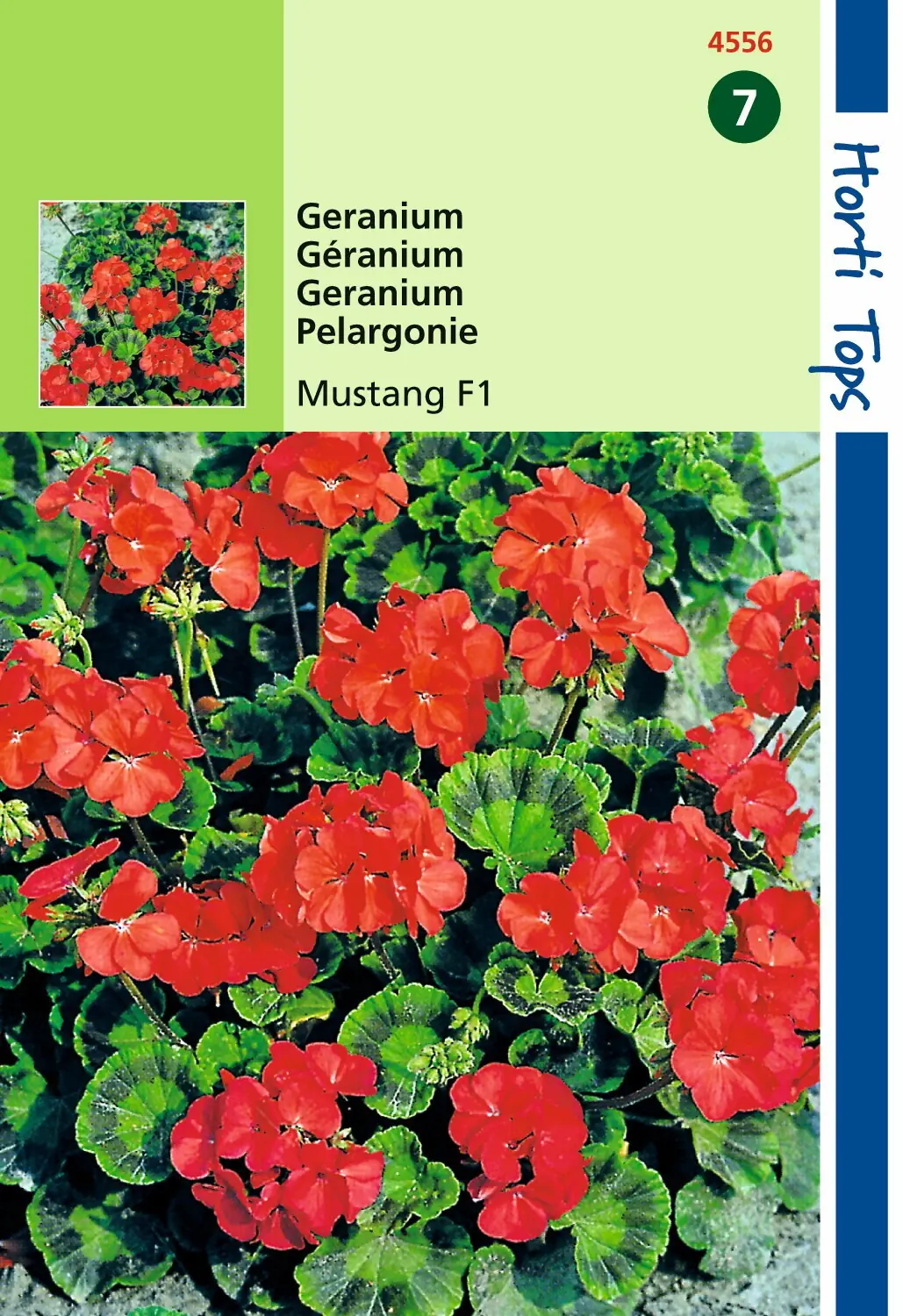Zaden Pelargonium Geranium Mustang F1 rood Hortitops