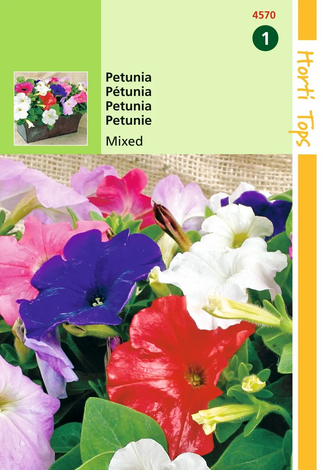 Zaden Petunia laag gemengd Hortitops