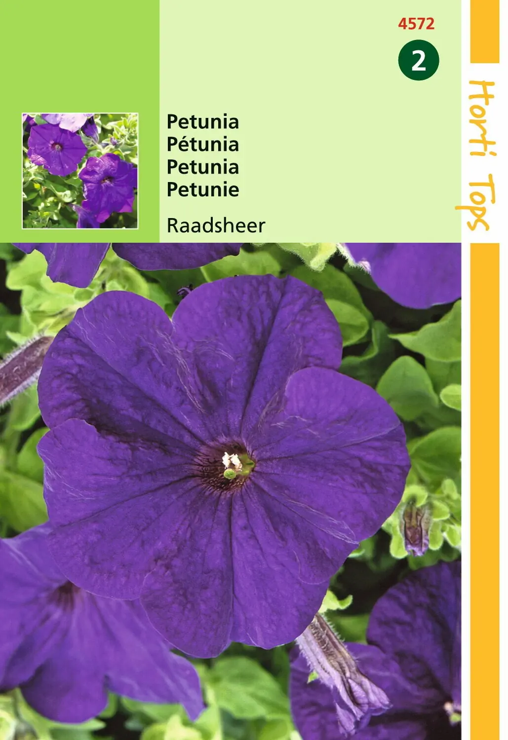 Zaden Petunia Raadsheer Hortitops
