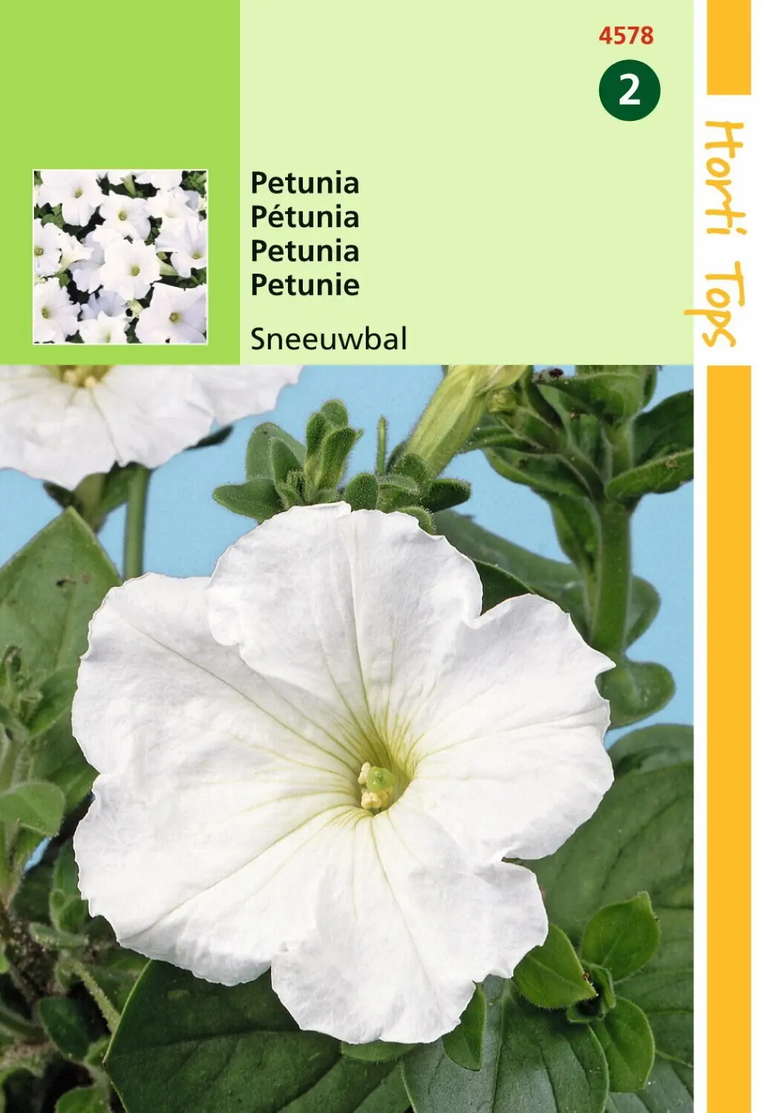 Zaden Petunia Sneeuwbal Hortitops