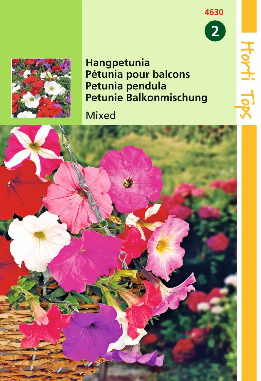 Zaden Petunia Hangpetunia gemengd Hortitops