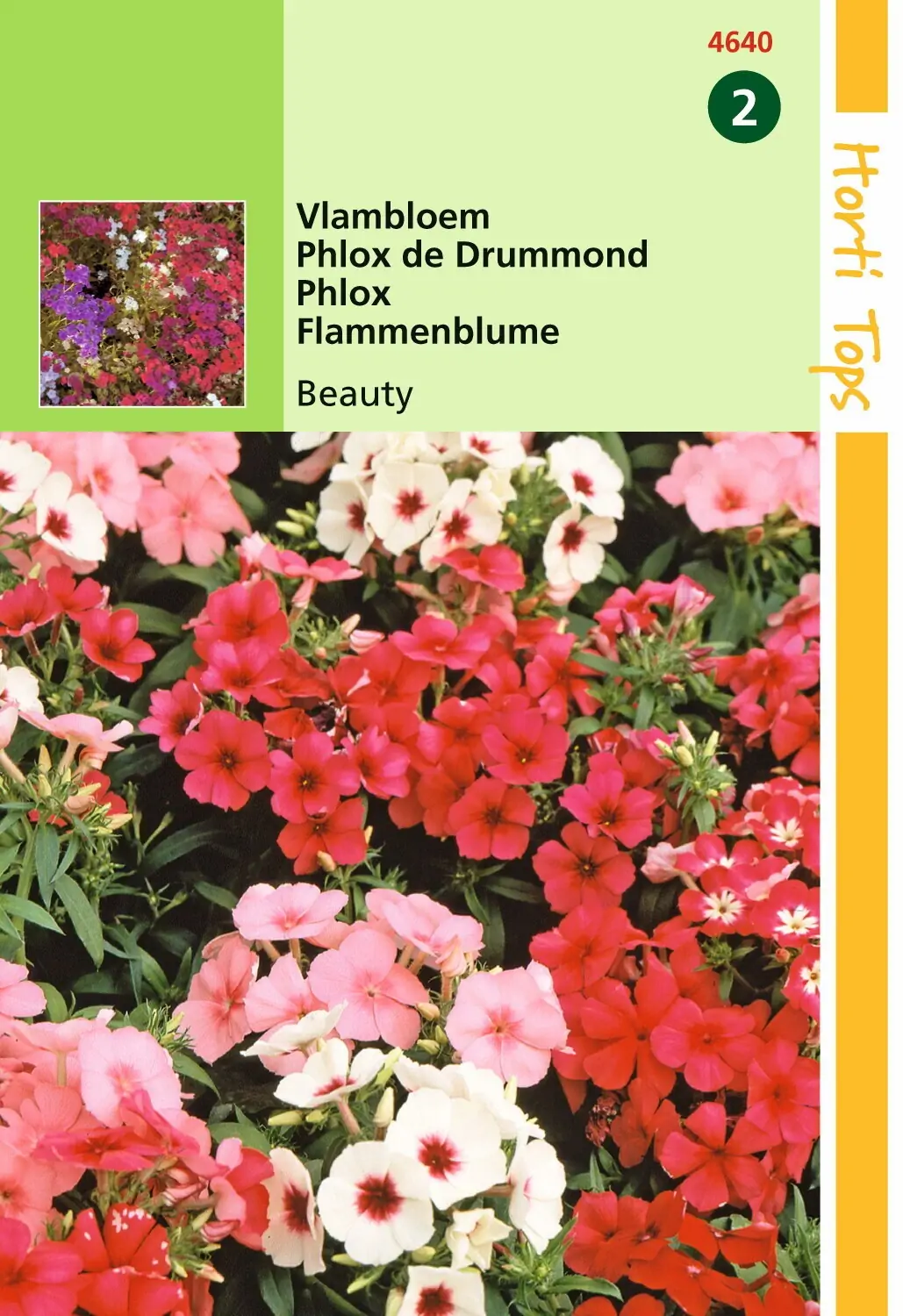 Zaden Phlox Vlambloem Beauty gemengd Hortitops