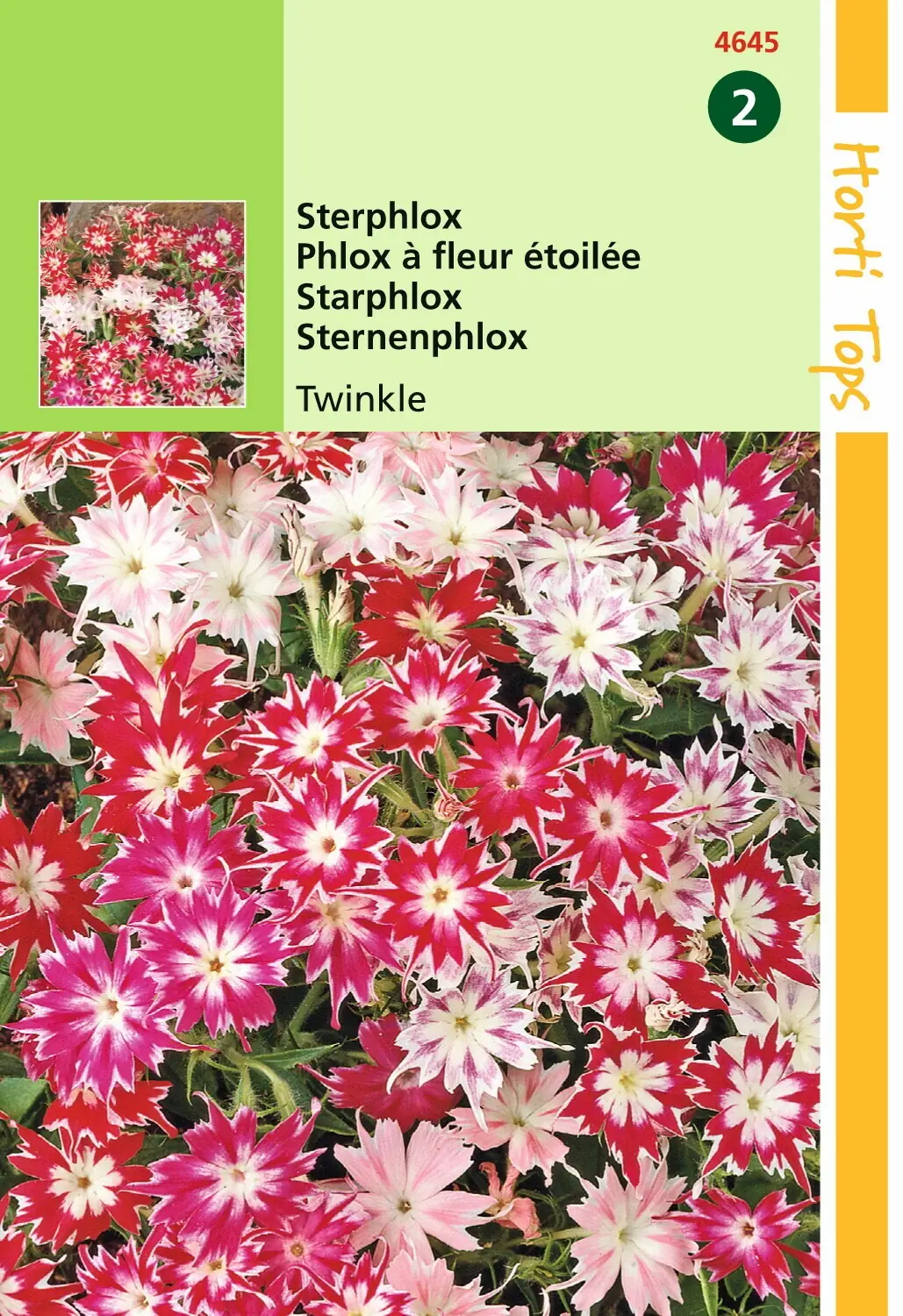 Zaden Phlox Sterphlox Twinkle gemengd Hortitops
